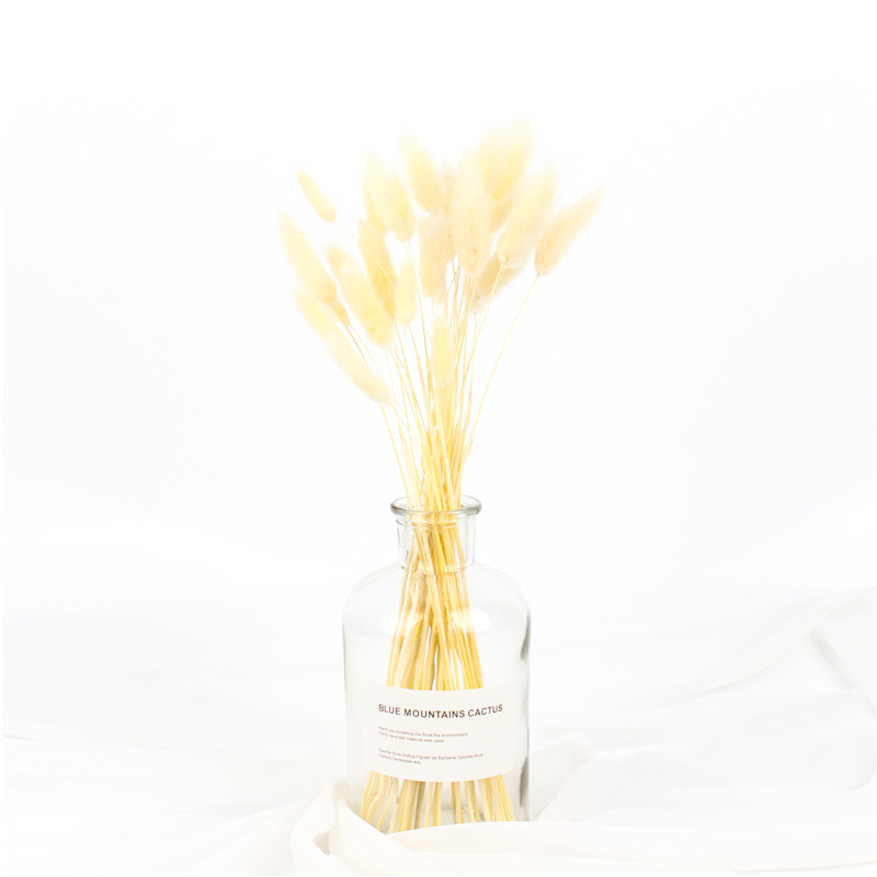 100% Natural Dried Rabbit Tail Grass , Pretty Dried Flowers Keep Freshness