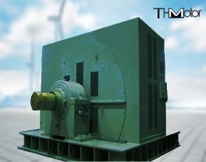 China TM 1300KW Large Scale Synchronous Motor Driving Coal Mill wholesale