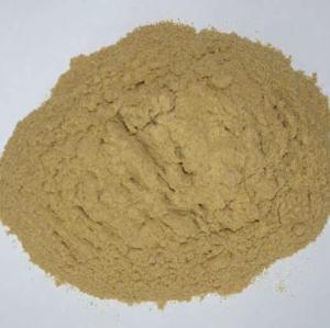 China SGS 40% Amino Acid Foliar Fertilizer Powder Irrigtaion Water Soluble wholesale