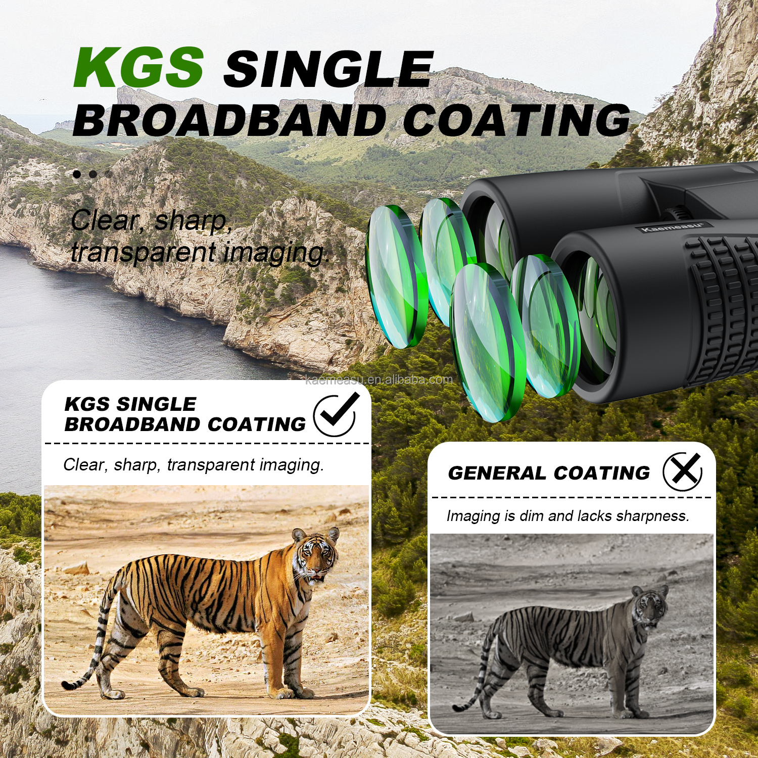 C 10X Magnification 42mm Caliber Binoculars Hunting Shooting Long Range Outdoor Clear Vision Binoculars Telescope