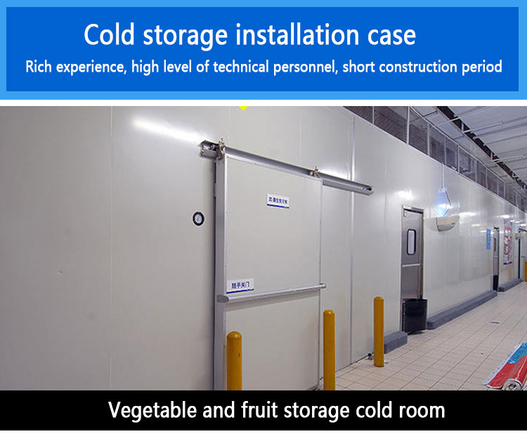 Icemedal Blast Walk In Freezer Room For Fish Meat Vegetable 220v/60hz/3ph