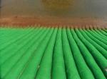 Erosion Control Blanket Nonwoven Geotube Woven Revetment Mattress Filled With