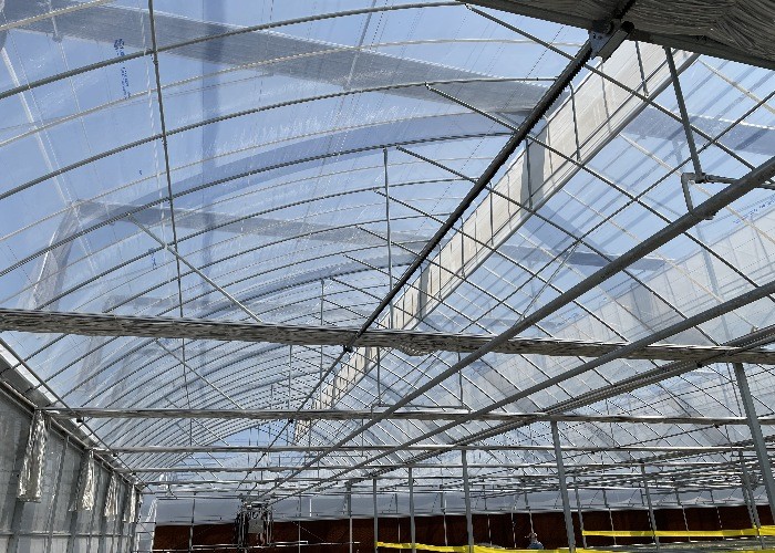 Multi Span Agriculture Greenhouse Sawtooth With Cooling System Nursery Seedbed System