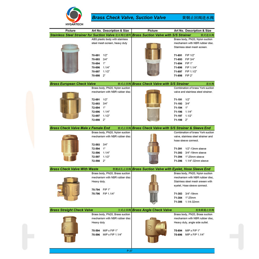 Brass European Frozen Proof Check Valve With Brance Test Hole