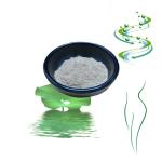 Natural Lotus Leaf Extract Powder Nuciferine 50% Promote Intestinal Peristalsis