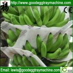 EPE Foam Sheet Extruder Line(FCFPM-90)