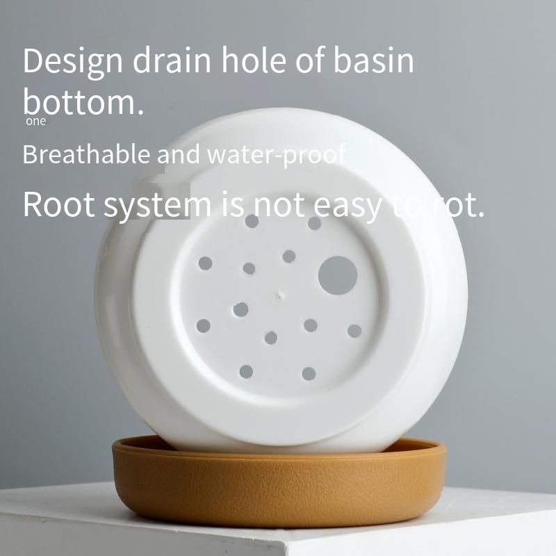 Modern Self Watering Planter Pot for Home Decor