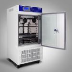 Plant Growth Environmental Temperature Chamber 250L Plant Seed Incubators