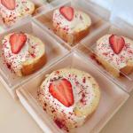 Sushi Disposable Food Containers