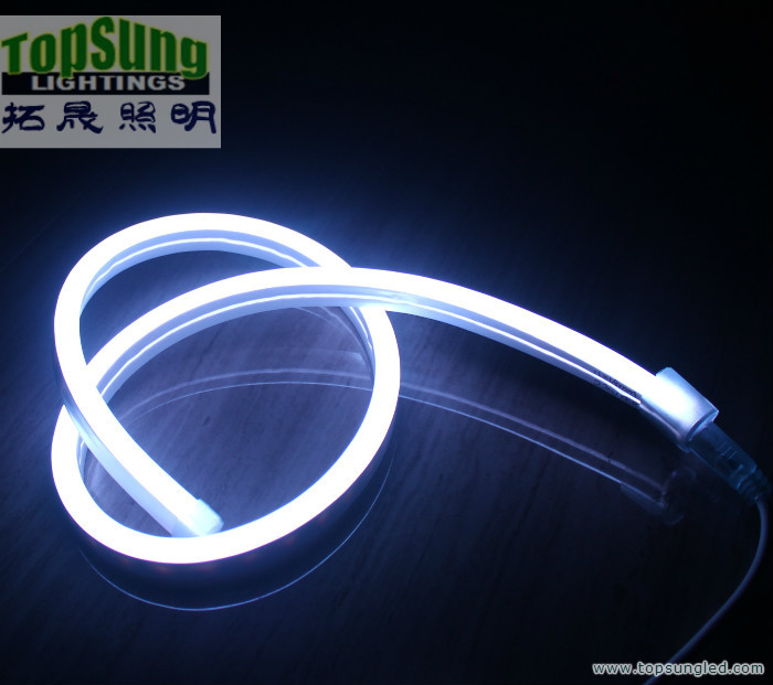 mini size RGB led neon flex 10*18mm full color changing neon light 110V SMD5050