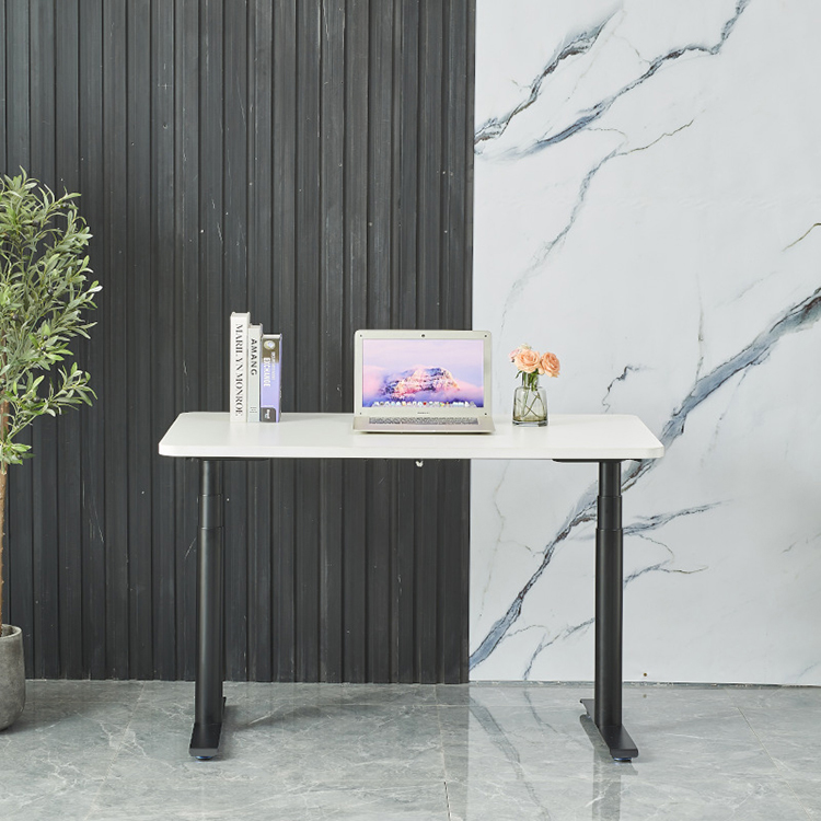 Office Dual Motor Electric Sit Stand Desk with Modern Design and Custom Wooden Grain