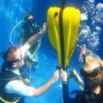 Marine Buoyancy Inflatable Underwater Lift Bags For Rescue