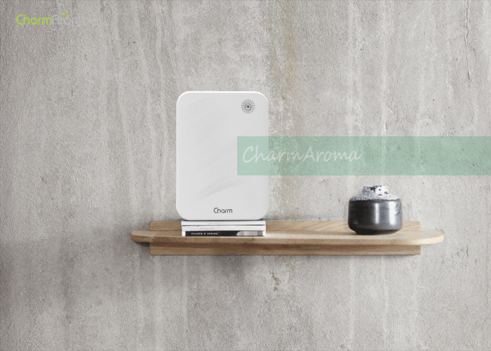 Professional Aroma Scent Machine Aroma Fragrance Diffuser With Auto Locking