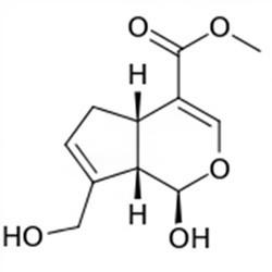 China Gardenia Extract, Genipin 98% HPLC, CAS No.: 6902-77-8, natural ingredient wholesale