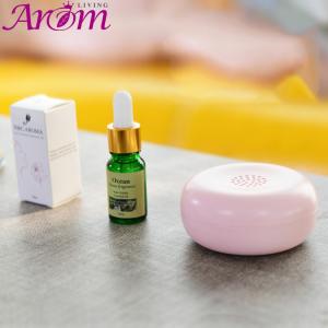 China Mosquito Repellent Mini Aroma Scent Nebulizer wholesale