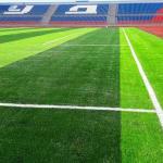 55mm 160 Stitches/M Football Artificial Turf High Performance UV Resistance