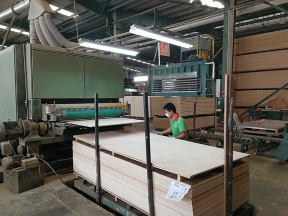 Fancy Eucalyptus Veneer Plywood Board For Cabinets / Custom Furniture