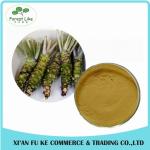Hot Sale Free Sample Fresh Horseradish Extract Powder
