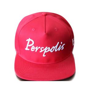 China Baseball caps Flat brim hip hop hat 3D embroidered branded gift supplier youth fashion flexfit adult size marketing hat wholesale