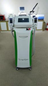 China Fat Cells Reduction Criolipolisis Fat Freezing Machine/slimming machine wholesale