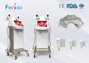 China 15 inch big screen cryolipolysis slimming machine in best price wholesale