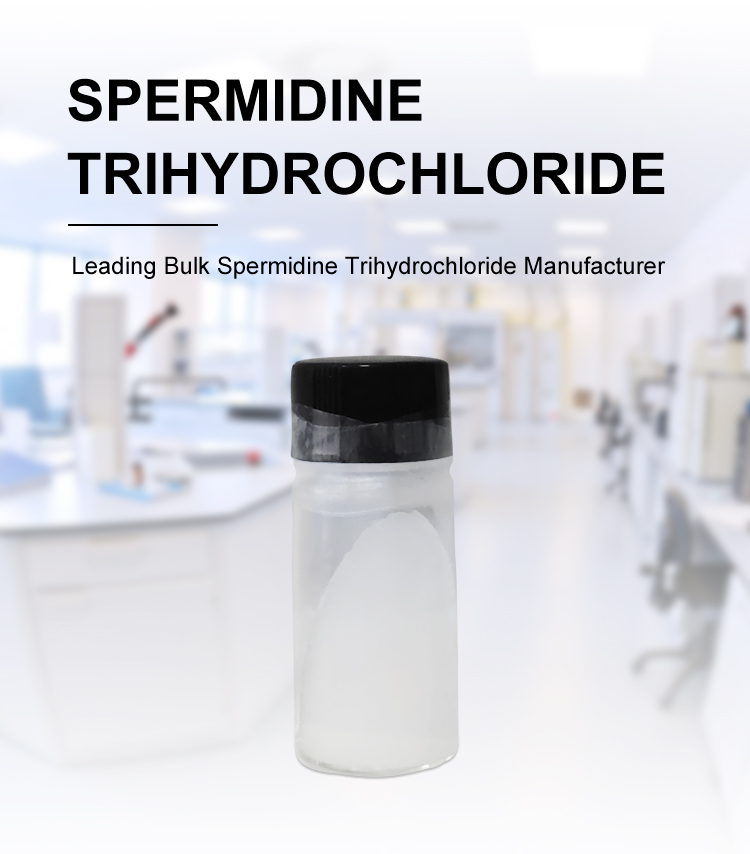 High Purity Spermidine 3HCL White Powder For Spermidine Capsules CAS No 334-50-9