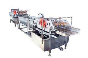 China Air Bubble Salmon Fish 4.8KW Seafood Washing Processing Machine wholesale