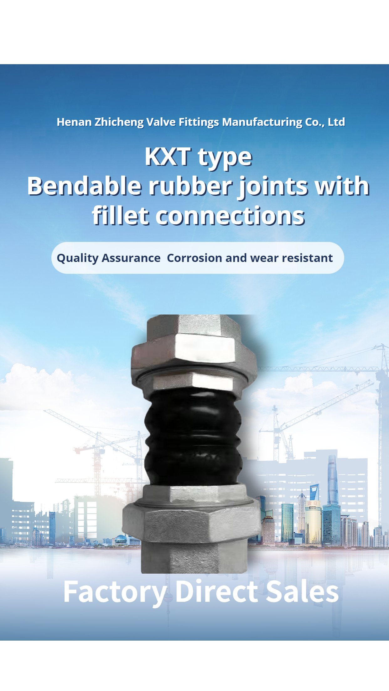 Flexible Double Bellows Expansion Joint Flange Connection ZCH