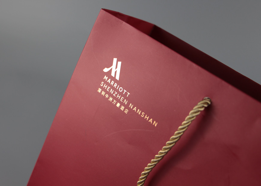 Multi Color Gift Shopping Bags Pantone CMYK Printing With PP Rope Handles