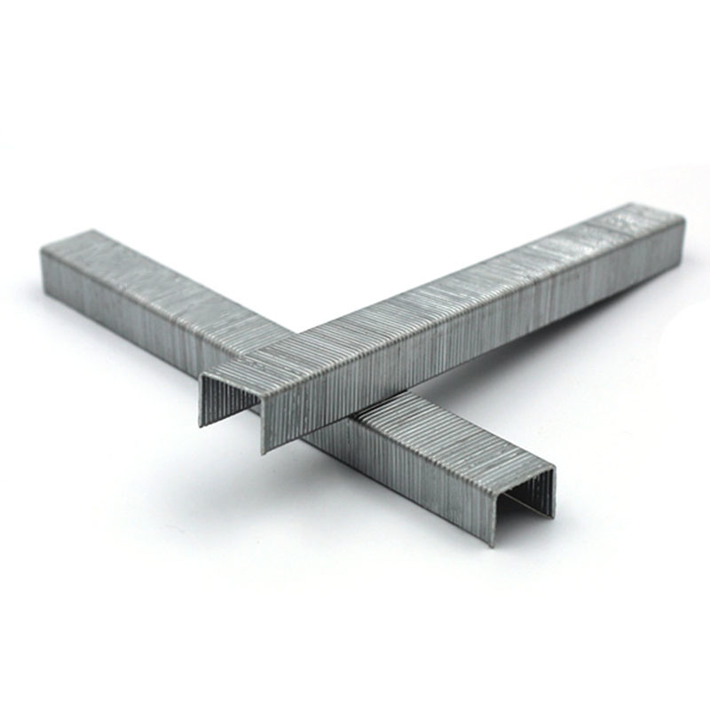 21 Gauge Staple 1/2 Crown 80series 12mm Furniture Decoration