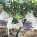 Agricultural 40G Banana Fruit Protection Bags 18x25cm
