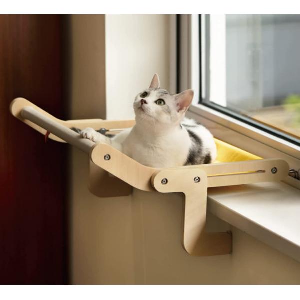 window hanging cat bed