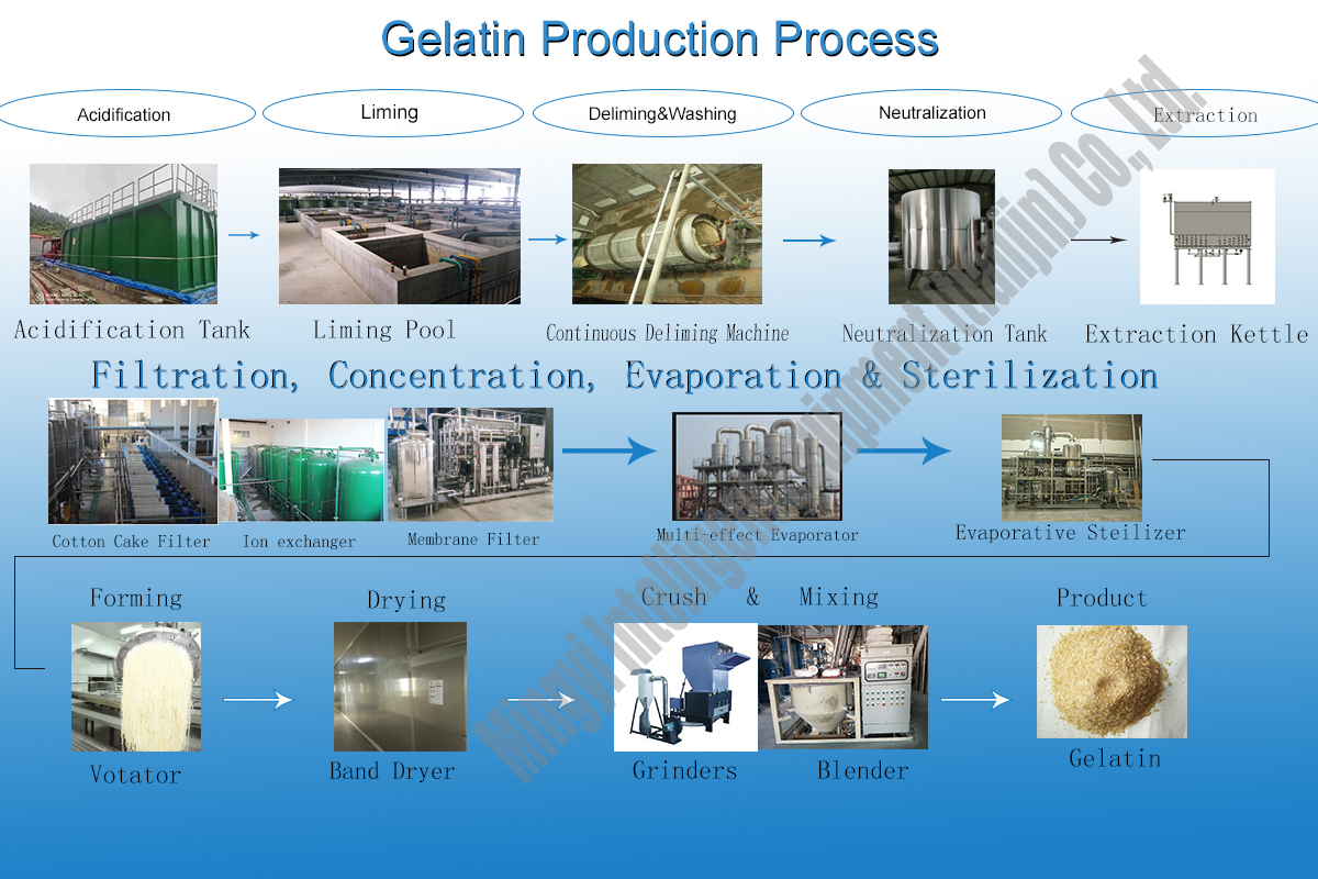 Customized Stainless Steel Ash Content Remover Equipment For Sludge