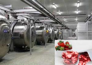 China 100KG Food Vacuum Freeze Dryer Industrial Freeze Drying Equipment wholesale
