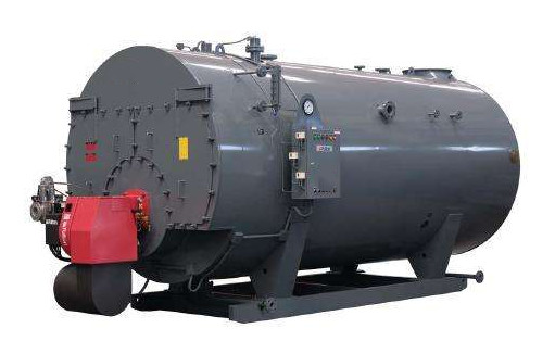 DZL Series Biomass Fired Steam Boiler 4 Ton Capacity High Safety Horizontal