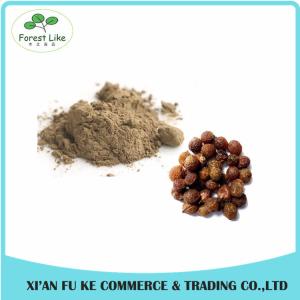 China High Quality Reetha / Soapnut Extract Powder wholesale