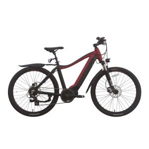 China 12 Inch Exercise Portable Electric Bike 48v Battery 400 Lb Capacity 20km H wholesale