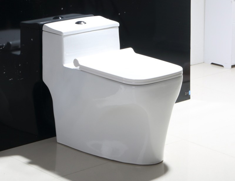 China Back to Wall Rimless Toilet Dual Flush Ceramic White wholesale