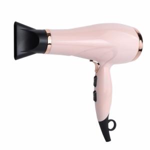 China OEM Electric Professional Salon Hair Dryer For Commercial Hotel Household wholesale