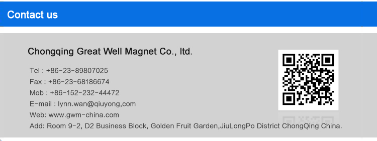 Permanent Injection Multi-Pole Ferrite Motor Rotor Magnet