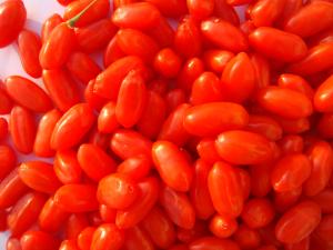 China Amorberry Goji Berry/Wolfberry/Lycium Barbarum Medlar wholesale with high quantity from Ningxia factory wholesale