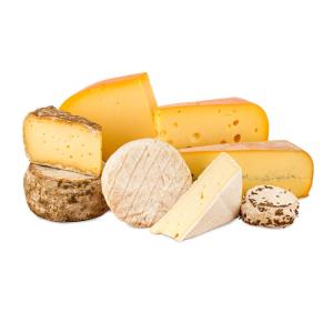 China SUS 316L Cheese Making Equipment For Automatic Food Processing wholesale