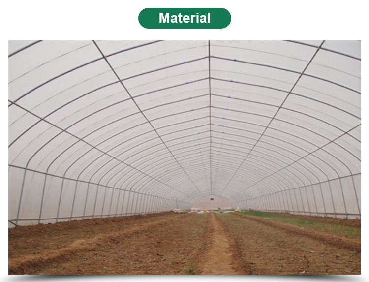 Single-Span Agricultural Greenhouses Solution for Growing Produce