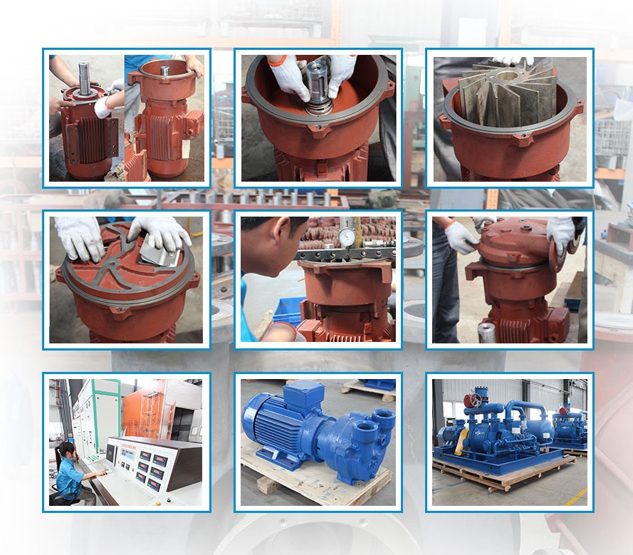 Stainless Steel Single-Stage Liquid Ring Vacuum Mercury System
