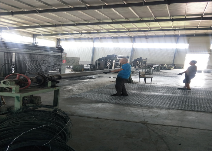 PVC coated 100X150mm 2.0mm Gabion Wire Mesh