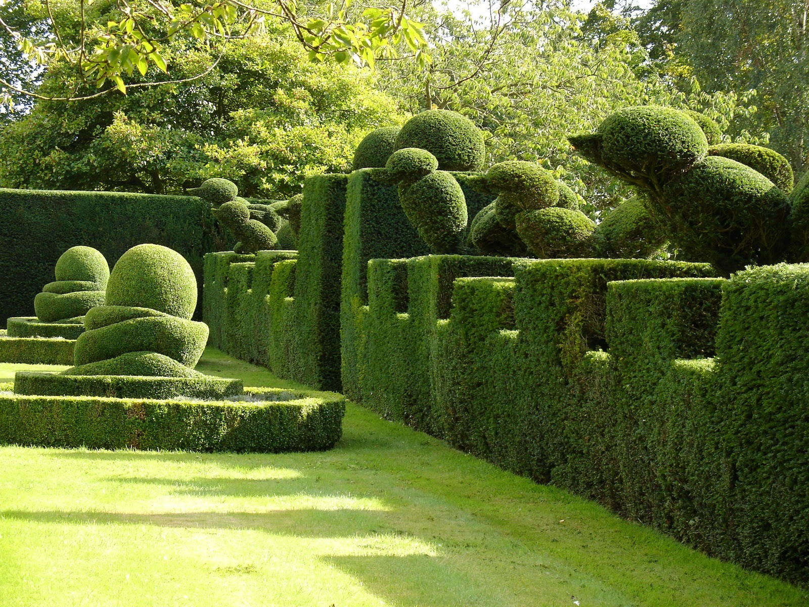 HAIHONG Beautiful Plants And Flowers Topiary Sculpture Fashionable