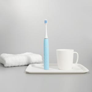 China Ultra Whitening Sonic 0.7W Electric Oral Care Toothbrushes IPX7 For Travel wholesale
