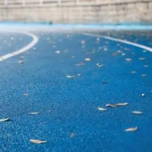 China Indoor Synthetic Athletic Track EPDM Rubber Granule For Stadium Sports 9-13mm wholesale