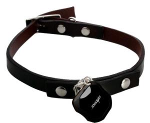 China waterproof GPS tracker for pet GPS tracking wholesale