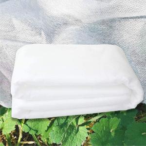 China 1.6mx10m Plant Protection Fleece , Multipurpose Non Woven Crop Cover wholesale